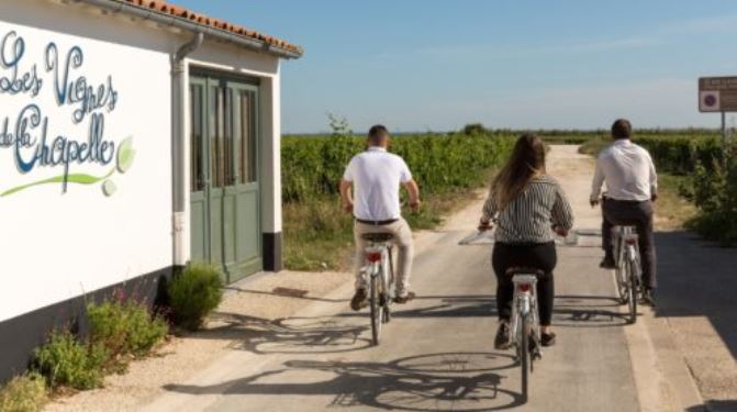 Île de Ré : le paradis des amateurs de vélo