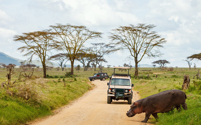 Roadtrip en Afrique : les indispensables