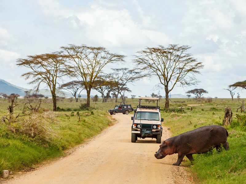 Roadtrip en Afrique : les indispensables