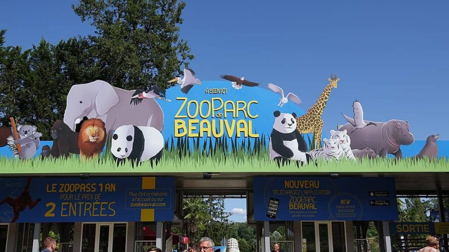 Quel hébergement autour du zoo de Beauval choisir pour un week-end en famille ?